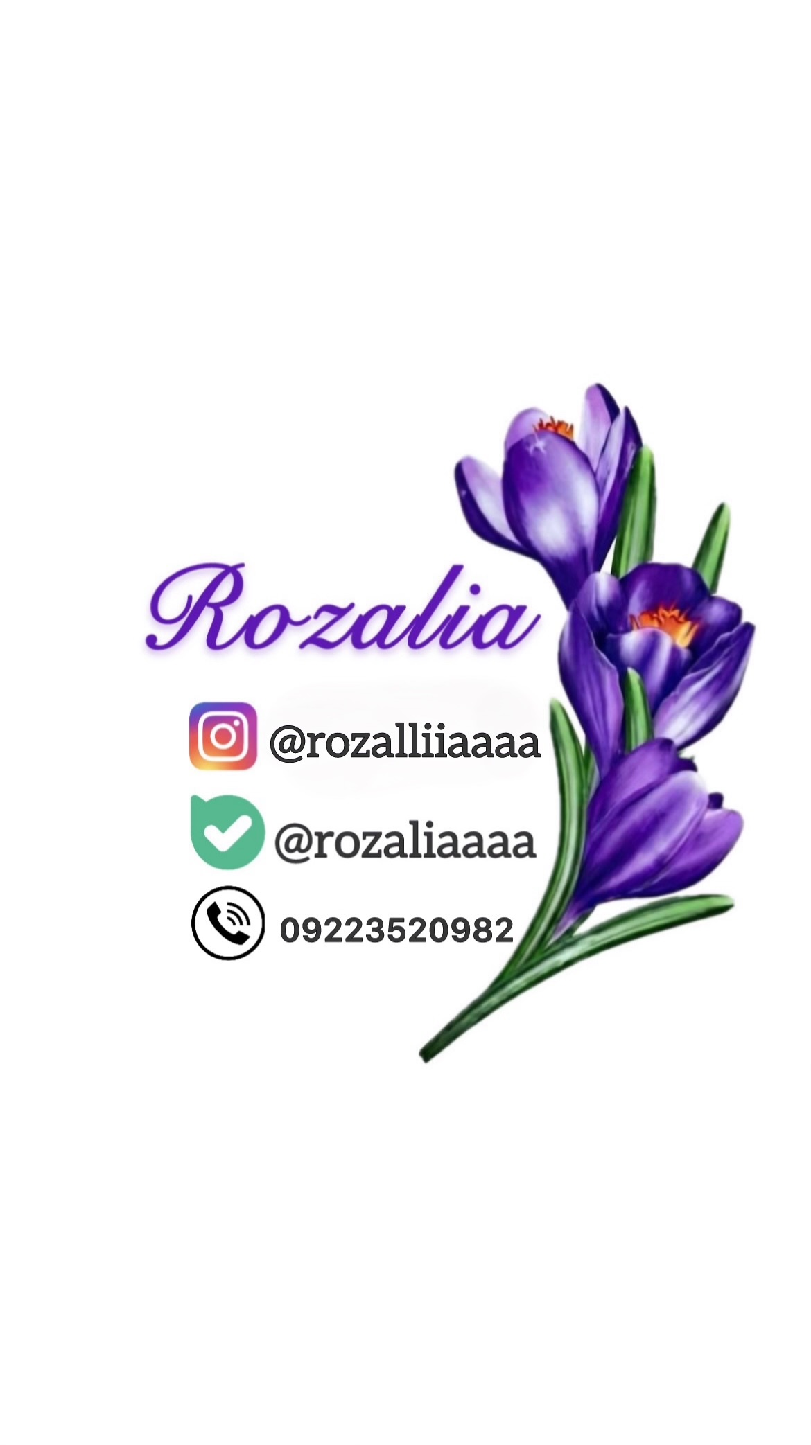 رُزالیا استور 